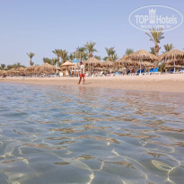 фото из отзыва ID 2661895