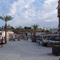 фото из отзыва ID 2661895