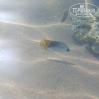 фото из отзыва ID 2661895