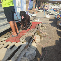 фото из отзыва ID 2661926