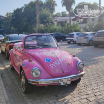 фото из отзыва ID 2661926