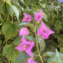 фото из отзыва ID 2661926