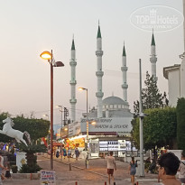 фото из отзыва ID 2661926