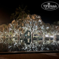 фото из отзыва ID 2661928