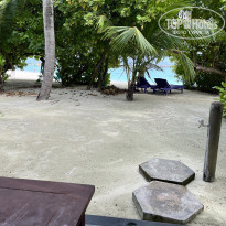 фото из отзыва ID 2661951