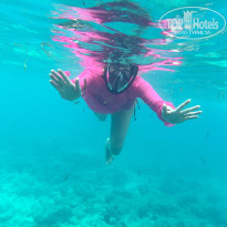 фото из отзыва ID 2661951