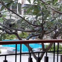 фото из отзыва ID 2661975