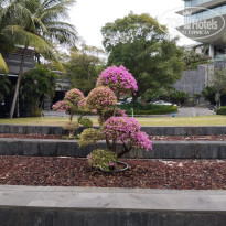 фото из отзыва ID 2661994