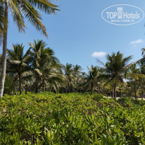 фото из отзыва ID 2661994