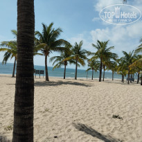 фото из отзыва ID 2661994