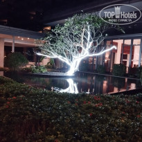 фото из отзыва ID 2661994