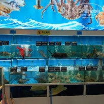 фото из отзыва ID 2661994