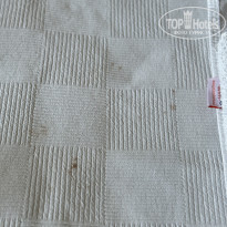 фото из отзыва ID 2661995