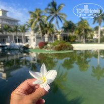 фото из отзыва ID 2662049