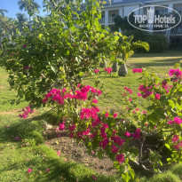 фото из отзыва ID 2662049