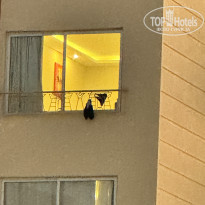 фото из отзыва ID 2662031