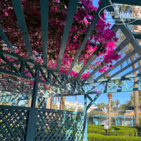 фото из отзыва ID 2661983