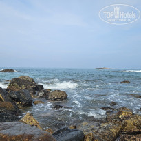 фото из отзыва ID 2662169