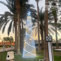 фото из отзыва ID 2661983