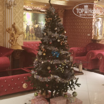 фото из отзыва ID 2662278