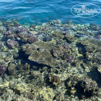 фото из отзыва ID 2662353