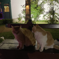 фото из отзыва ID 2662353