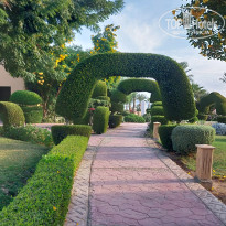 фото из отзыва ID 2662398