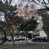 фото из отзыва ID 2662331