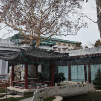 фото из отзыва ID 2662331