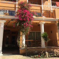 фото из отзыва ID 2662470