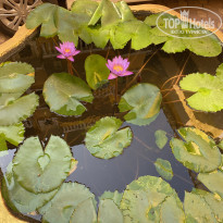 фото из отзыва ID 2661885