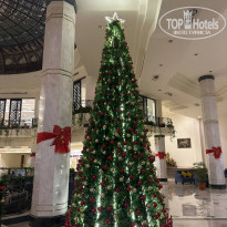 фото из отзыва ID 2662541