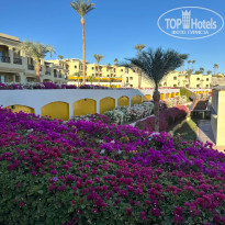 фото из отзыва ID 2662541