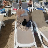 фото из отзыва ID 2662544