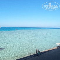 фото из отзыва ID 2662604