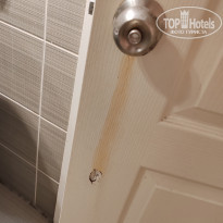 фото из отзыва ID 2662630