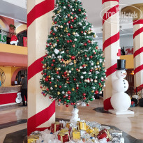 фото из отзыва ID 2662650