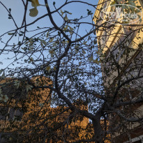 фото из отзыва ID 2662660