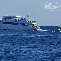 фото из отзыва ID 2662650