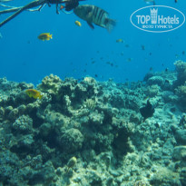 фото из отзыва ID 2662650