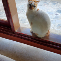 фото из отзыва ID 2662650