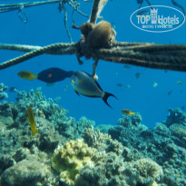 фото из отзыва ID 2662650