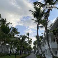 фото из отзыва ID 2662675