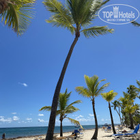 фото из отзыва ID 2662675