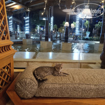 фото из отзыва ID 2662728