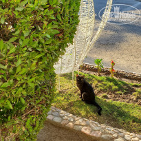 фото из отзыва ID 2662650