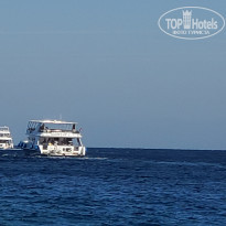 фото из отзыва ID 2662650