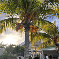 фото из отзыва ID 2662762