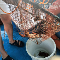 фото из отзыва ID 2662858