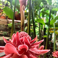 фото из отзыва ID 2662858